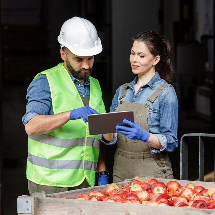 A man and woman in hard hats standing next to a box of apples, ready for inspection or distribution.