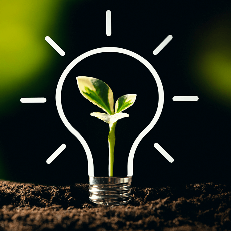 A light bulb with a plant growing in soil, symbolising sustainability and innovation.