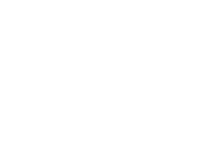 Haldane Fisher company logo with 50% opacity
