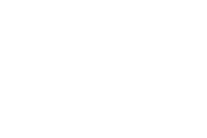 PJ McDaids company logo with 50% opacity