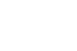 Premier Auto Parts company logo with 50% opacity