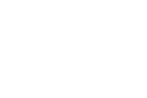 Tadgh O'Connor white company logo with 50% opacity