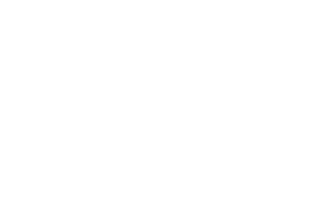 Boels Rental logo