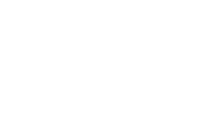 Fierst Distributing Company logo