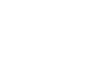 Lightbulb Grip and Electric Co logo
